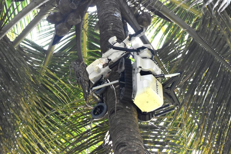 Cocobot号称世界首款摘椰机器人，能爬20米高树采摘